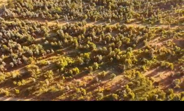 campo en venta 60 hectáreas