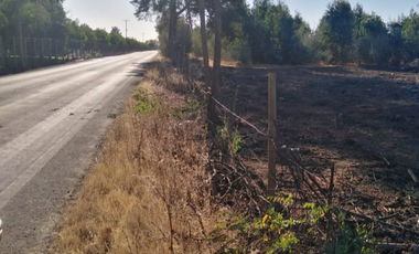 campo en venta 60 hectáreas