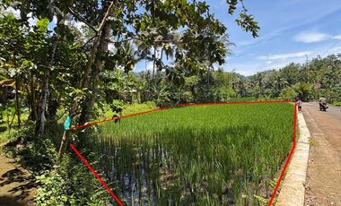 Aset BTN Jogja. Tanah sawah produktif Desa Kalisalak, Salaman, Magelang