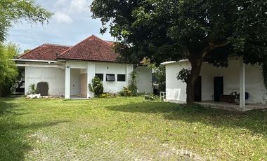 Gedung Kantor Komersial 1 Lantai Disewakan, di Denpasar Timur Area