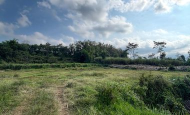 Tanah dijual di Sawun, Jedong, Kabupaten Malang, Jawa Timur