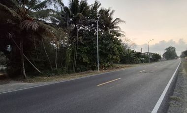 TANAH DIJUAL DI PURWOREJO DEKAT PANTAI DEWARUCI