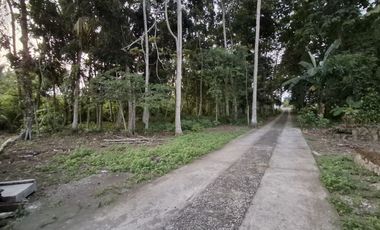 TANAH DIJUAL DI PURWOREJO DEKAT PANTAI DEWARUCI