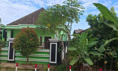 Dijual Cepat Rumah 1 Lantai UF Lampung Tengah Dekat Pt.manuppak Abadi dan Rumah Sakit Umum Daerah Demang Sepulau Raya