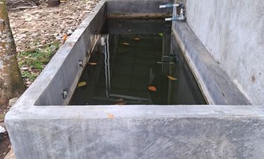 Dijual Cepat Rumah 1 Lantai UF Lampung Tengah Dekat Pt.manuppak Abadi dan Rumah Sakit Umum Daerah Demang Sepulau Raya