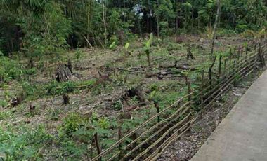 DIJUAL MURAH 2 BIDANG TANAH