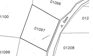 DIJUAL MURAH 2 BIDANG TANAH