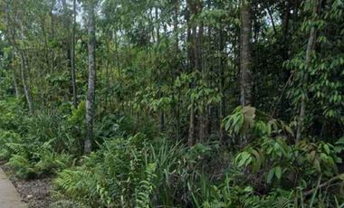 DIJUAL MURAH 2 BIDANG TANAH