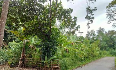 DIJUAL MURAH 2 BIDANG TANAH