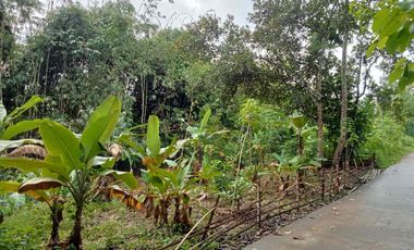 DIJUAL MURAH 2 BIDANG TANAH