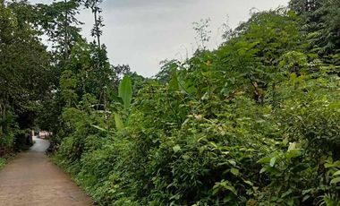 DIJUAL MURAH 2 BIDANG TANAH