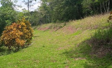 TERRENO LAS PALMAS TARAPOTO
