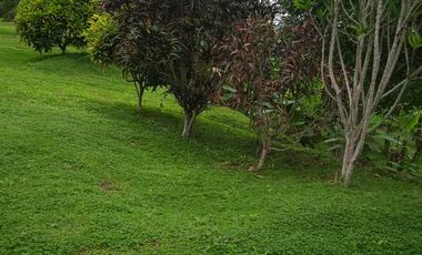 TERRENO LAS PALMAS TARAPOTO