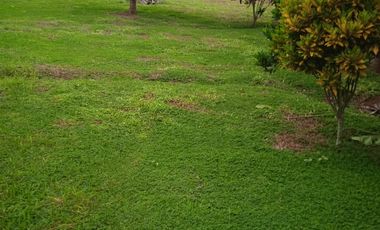 TERRENO LAS PALMAS TARAPOTO