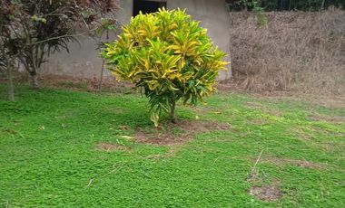 TERRENO LAS PALMAS TARAPOTO