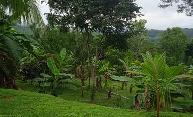 TERRENO LAS PALMAS TARAPOTO