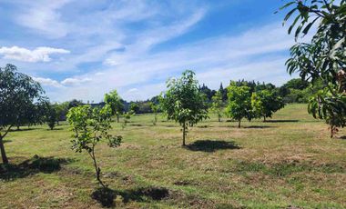 Lot for Sale near Clark Pampanga 2.1 Hectare Property in Magalang