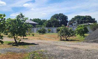 Lot for Sale near Clark Pampanga 2.1 Hectare Property in Magalang