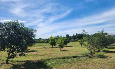 Lot for Sale near Clark Pampanga 2.1 Hectare Property in Magalang