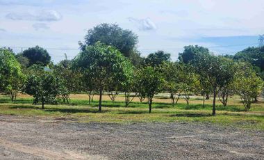 Lot for Sale near Clark Pampanga 2.1 Hectare Property in Magalang