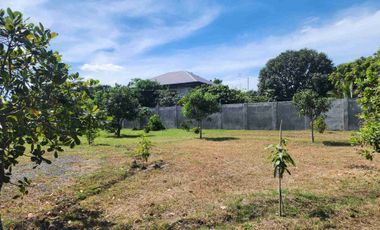 Lot for Sale near Clark Pampanga 2.1 Hectare Property in Magalang