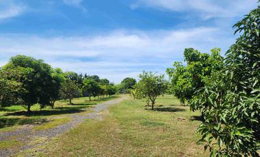 Lot for Sale near Clark Pampanga 2.1 Hectare Property in Magalang