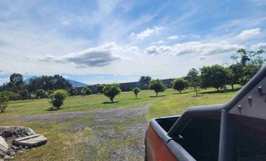 Lot for Sale near Clark Pampanga 2.1 Hectare Property in Magalang