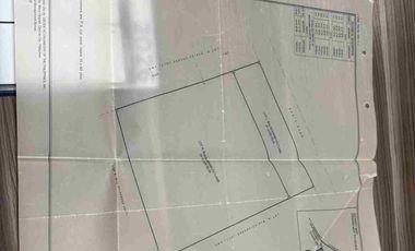 Lot for Sale near Clark Pampanga 2.1 Hectare Property in Magalang