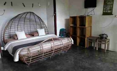 Dijual Cepat Guest House Unik Dan Estetik Di Kampung Bule Prawirotaman Dekat Malioboro  Yogya
