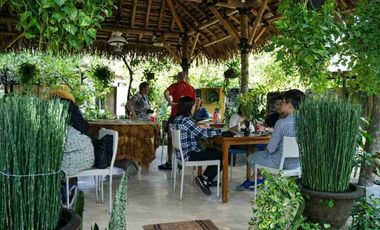 Dijual Cepat Guest House Unik Dan Estetik Di Kampung Bule Prawirotaman Dekat Malioboro  Yogya