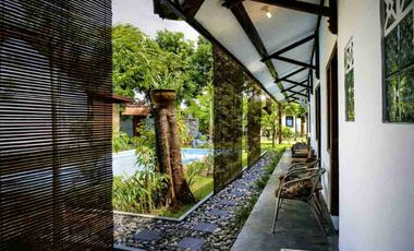 Dijual Cepat Guest House Unik Dan Estetik Di Kampung Bule Prawirotaman Dekat Malioboro  Yogya