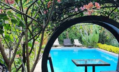 Dijual Cepat Guest House Unik Dan Estetik Di Kampung Bule Prawirotaman Dekat Malioboro  Yogya