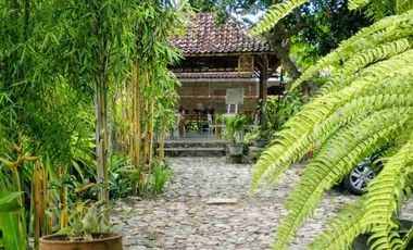Dijual Cepat Guest House Unik Dan Estetik Di Kampung Bule Prawirotaman Dekat Malioboro  Yogya