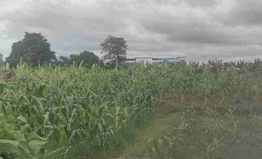 jl utama pantai nyanyi!! 49 are tanah di sewakan