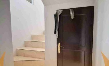 DI SEWA Cluster Mexicano Delatinos