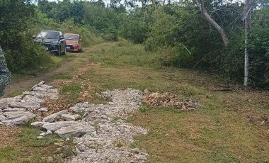 Subdivided Lot with House for sale