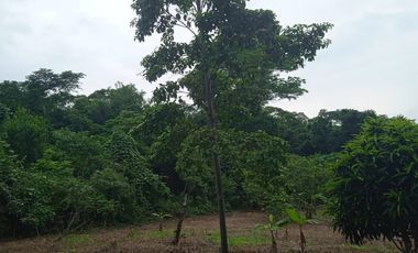 Terreno de Sueños