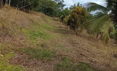 Terreno de Sueños