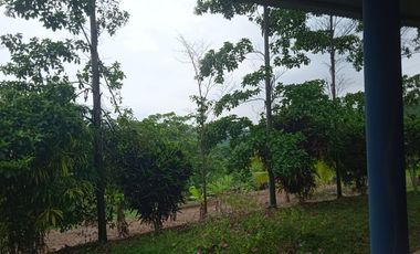 Terreno de Sueños
