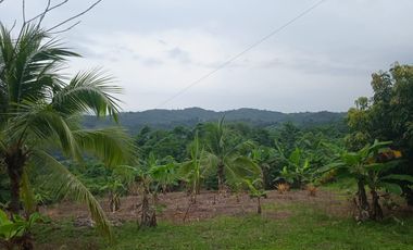 Terreno de Sueños