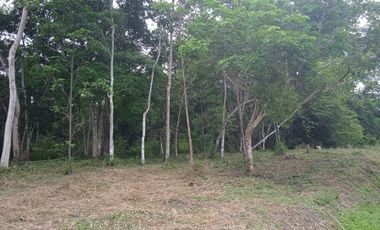 Terreno de Sueños