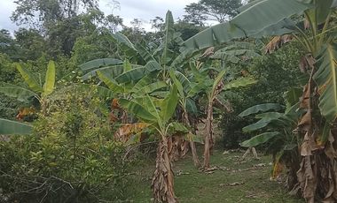 Terreno de Sueños