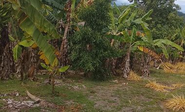 Terreno de Sueños