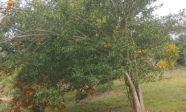 Terreno de Sueños