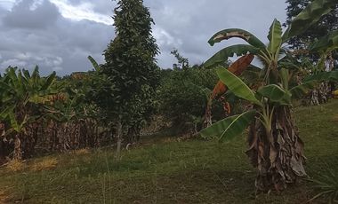 Terreno de Sueños