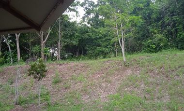 Tereno Casa