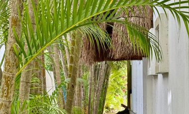 Casa Chocolate – Villa con Vista al Campo de Golf en Club Real, Playacar Fase II