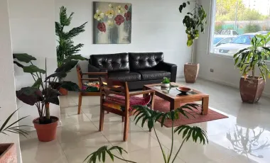 VENTA BOSQUE AZAPA