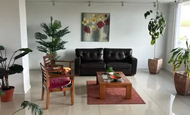 VENTA BOSQUE AZAPA