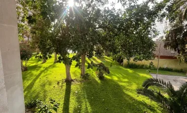 VENTA BOSQUE AZAPA